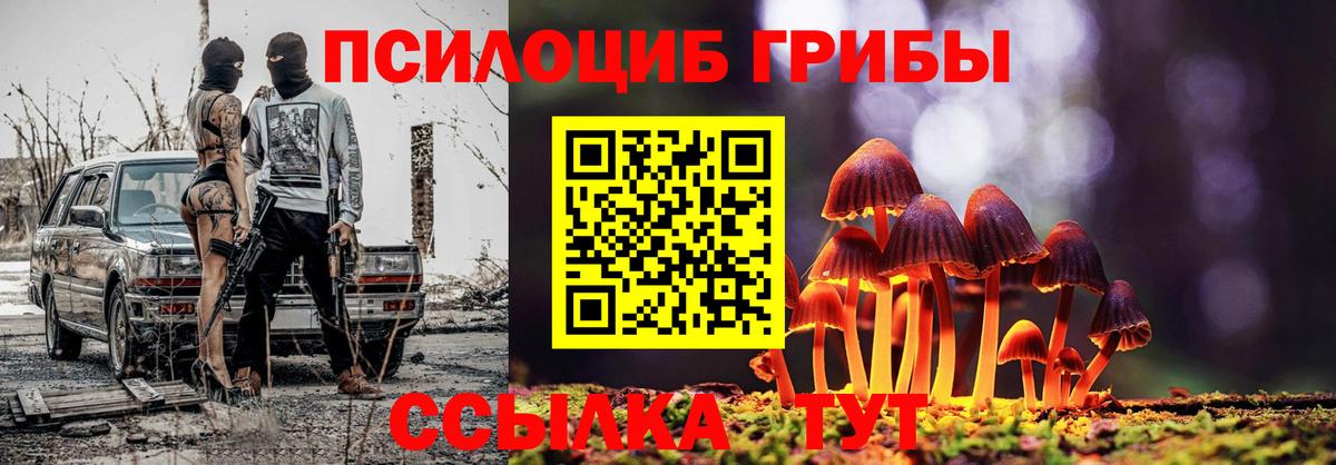 Псилоцибиновые грибы Psilocybe Люберцы