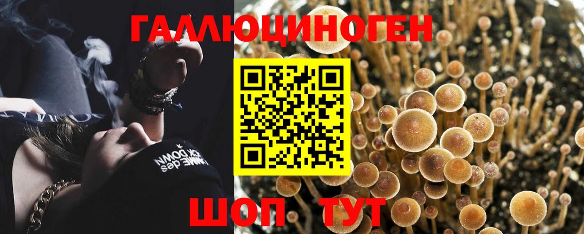Галлюциногенные грибы мицелий  Вход с VPN  Люберцы 